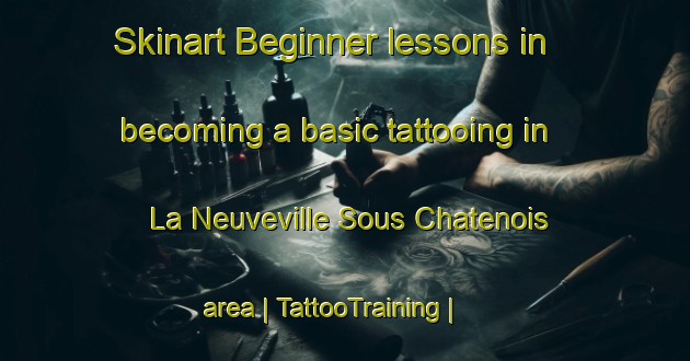 Skinart Beginner lessons in becoming a basic tattooing in La Neuveville Sous Chatenois area | TattooTraining | TattooClasses | SkinartTraining-France